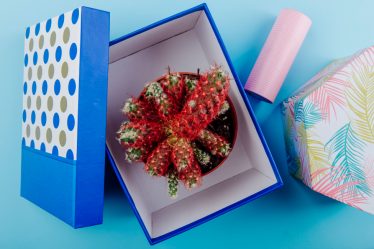 O fornecedor de caixas rígidas que o seu e-commerce precisa