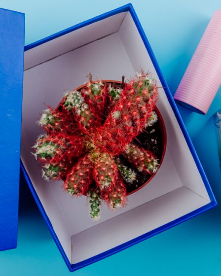 O fornecedor de caixas rígidas que o seu e-commerce precisa